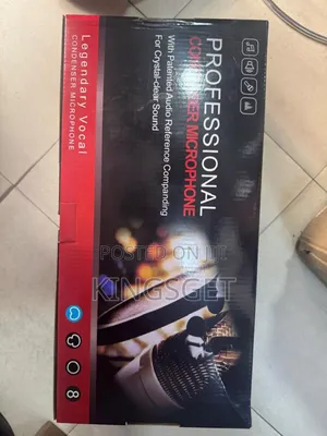 2 In 1 Double Professional Condenser Microphone
