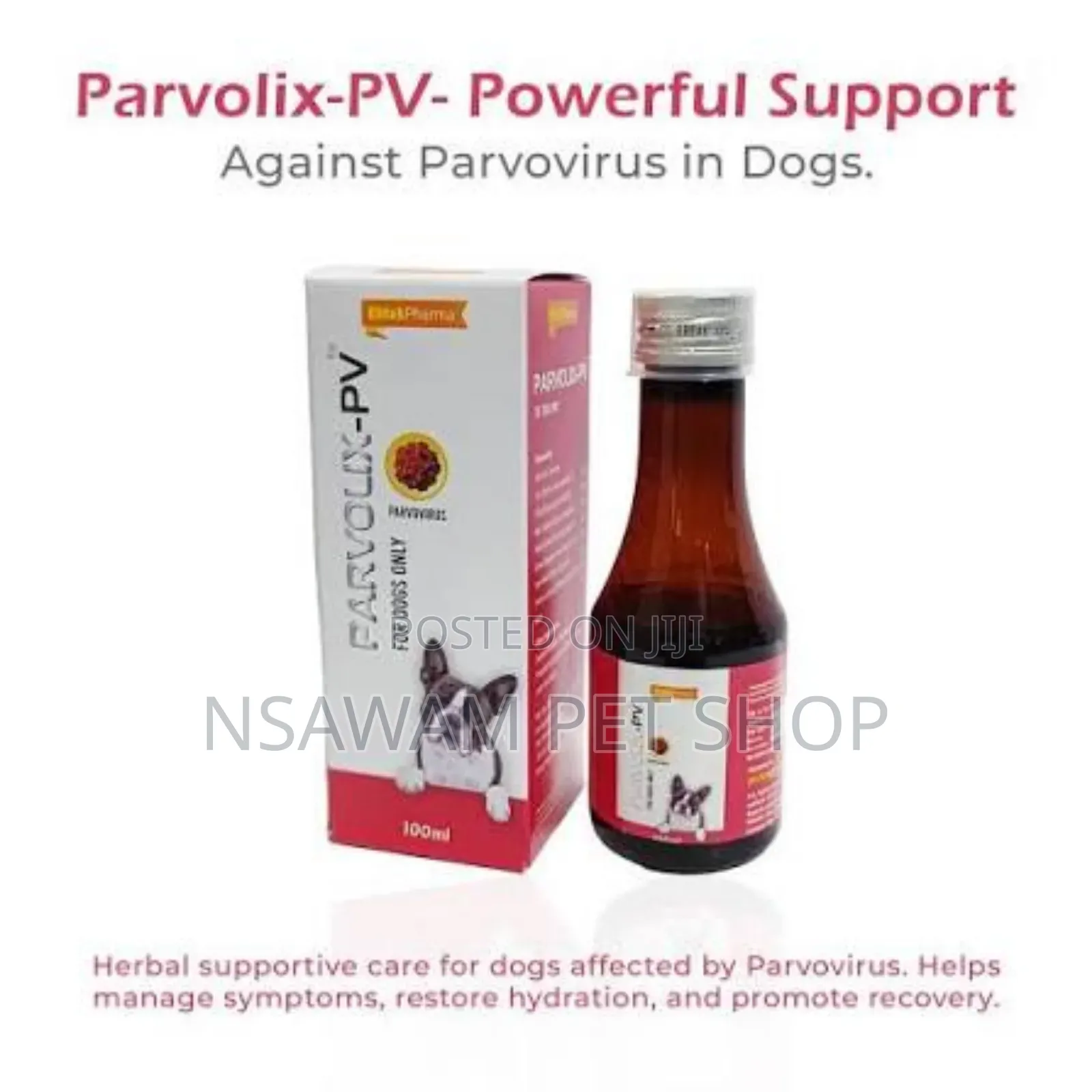 Parvolix_pv