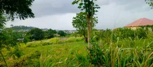 Hello Are You Looking for General Land to Buy?