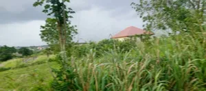 Hello Are You Looking for General Land to Buy?