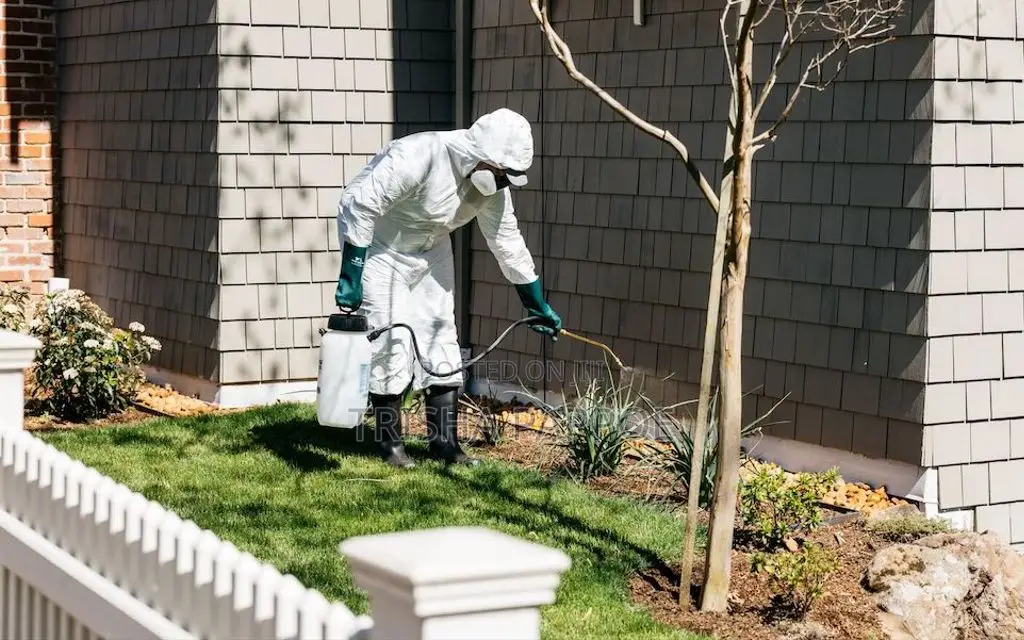 Fumigation And Pest Control Services