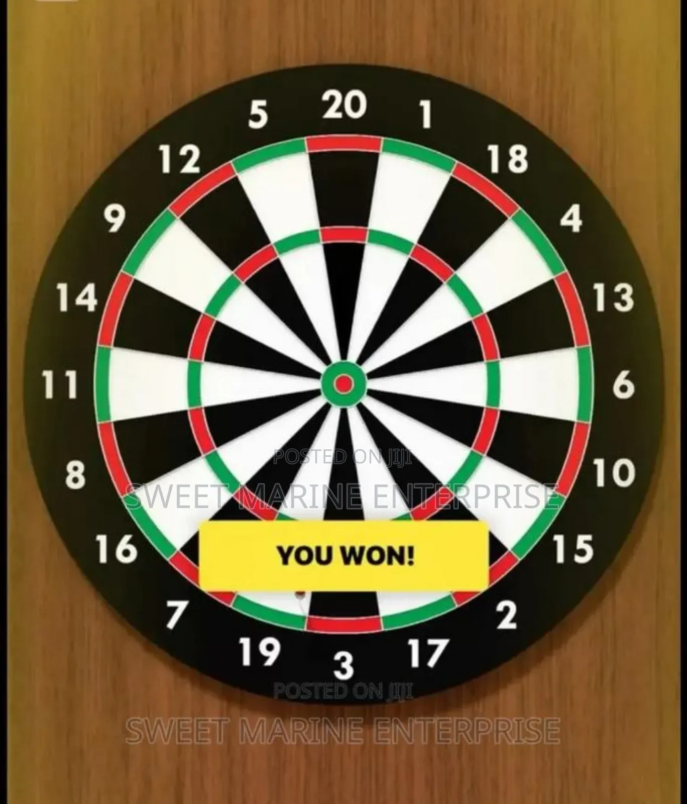 Dart Board 17inch
