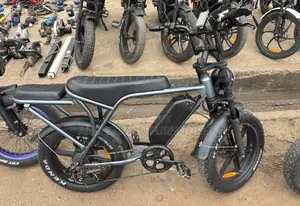 Rechargeable Electric Bikes