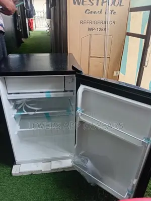 Don't Miss Out on Westpool Refrigerator Best for All