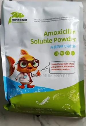 Anti Biotics for Aquarium Fishes