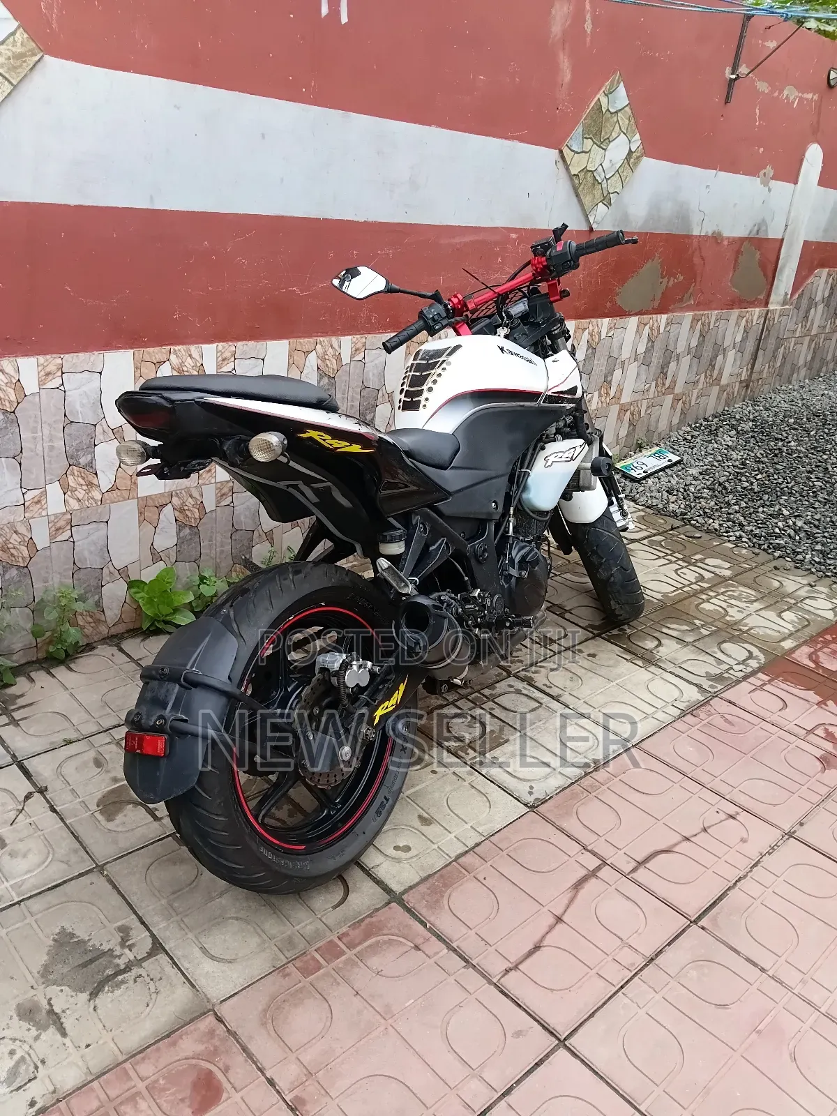 Kawasaki Ninja 300 2010 White