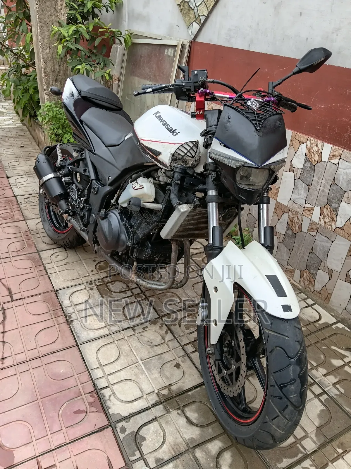 Kawasaki Ninja 300 2010 White