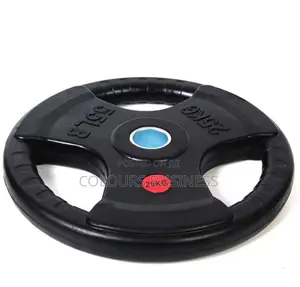 25kg Plate