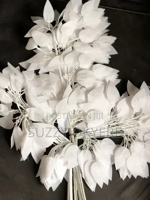 Décor Flowers and Ladies Items