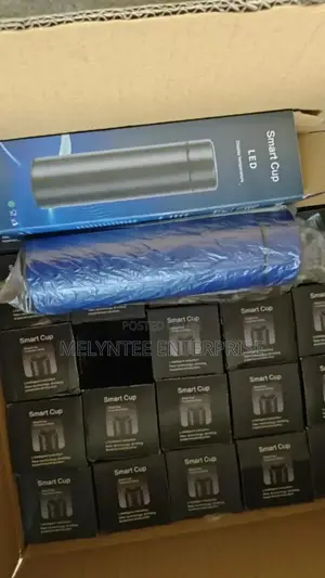Temperature Flask Souvenir 500ml