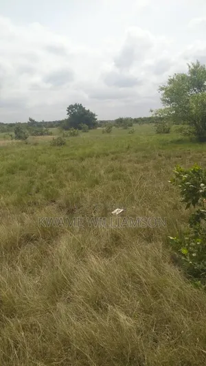 Plot of Land at Asutsuare (Mahama Junction)