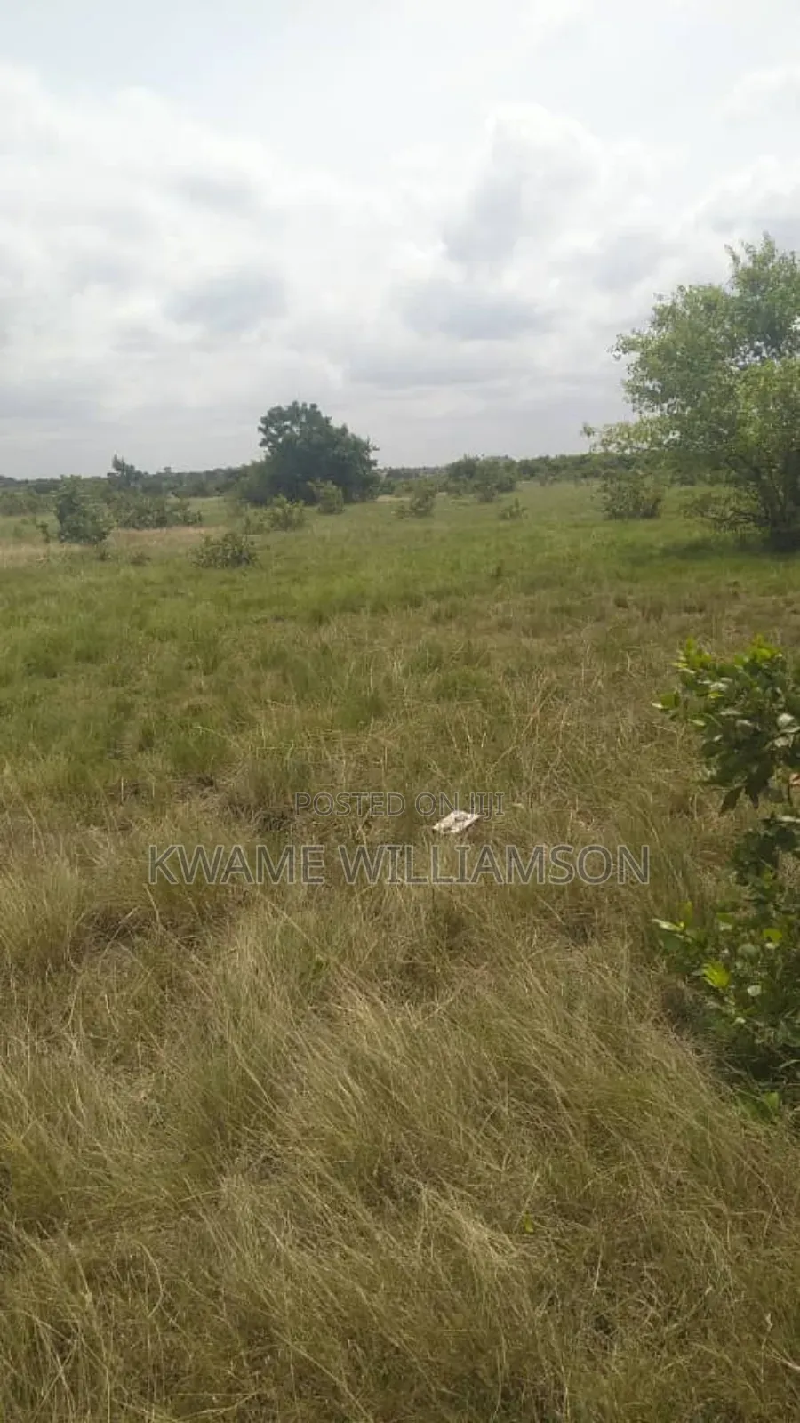 Plot of Land at Asutsuare (Mahama Junction)