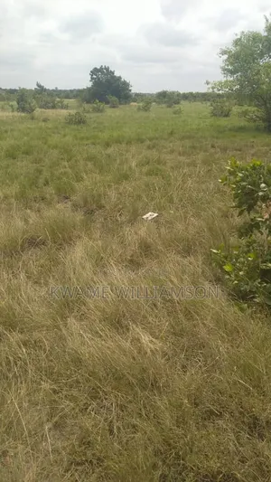 Plot of Land at Asutsuare (Mahama Junction)