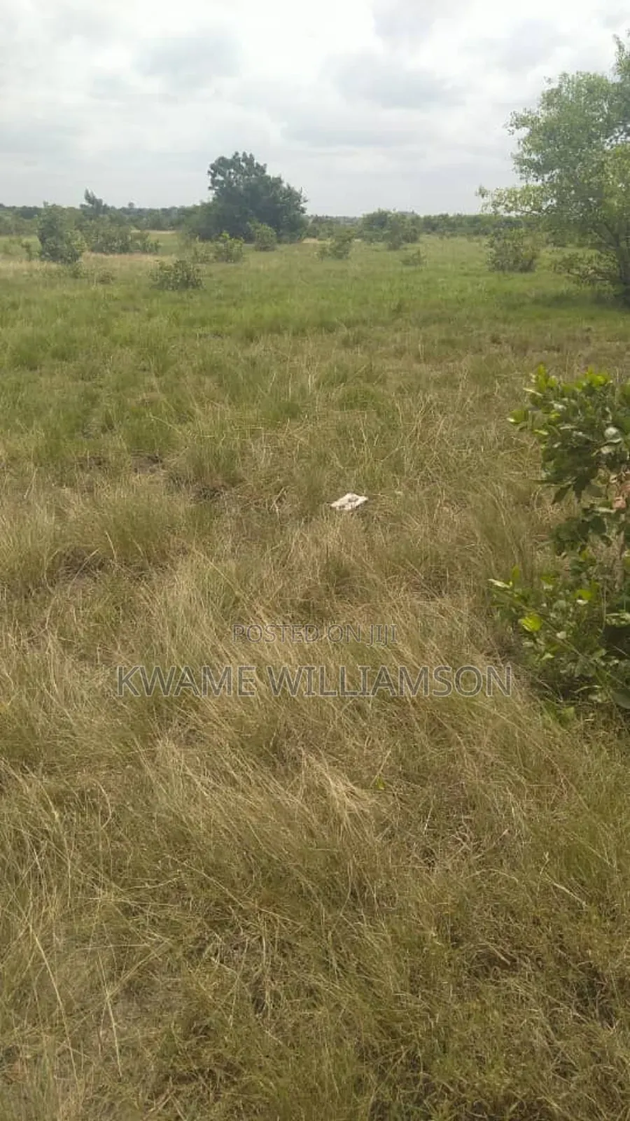 Plot of Land at Asutsuare (Mahama Junction)