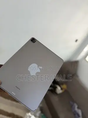 Apple iPad Pro (2022) 256 GB Gray