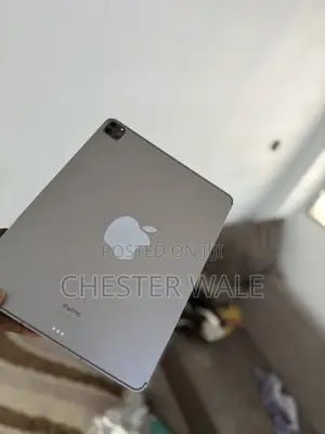 Apple iPad Pro (2022) 256 GB Gray