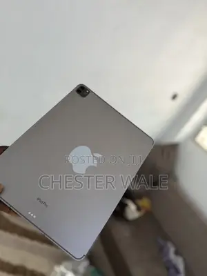 Apple iPad Pro (2022) 256 GB Gray