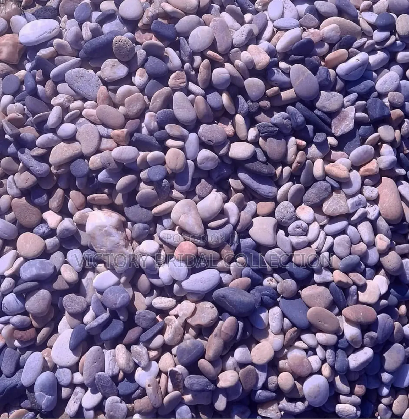 Beach Pebble Stones Shells