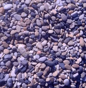 Beach Pebble Stones Shells