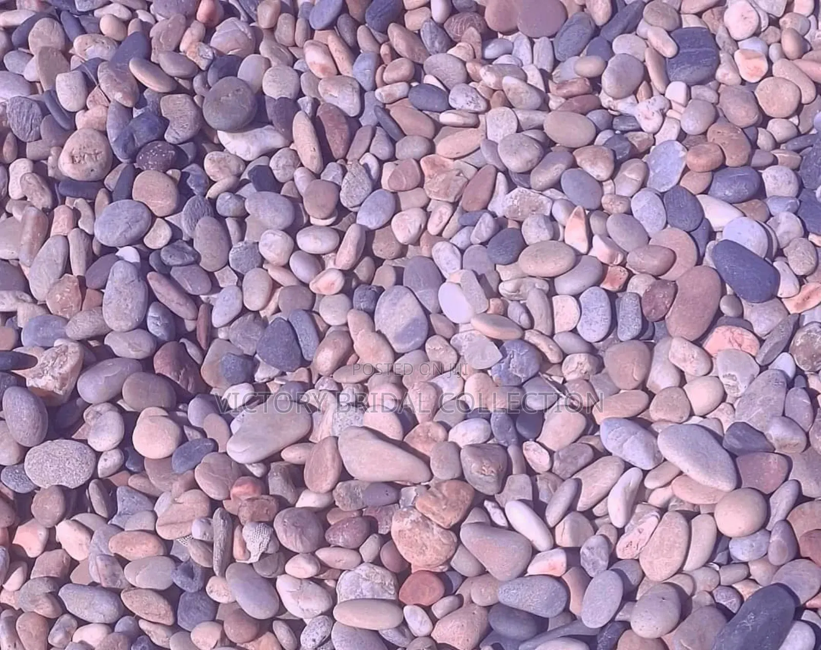 Beach Pebble Stones Shells