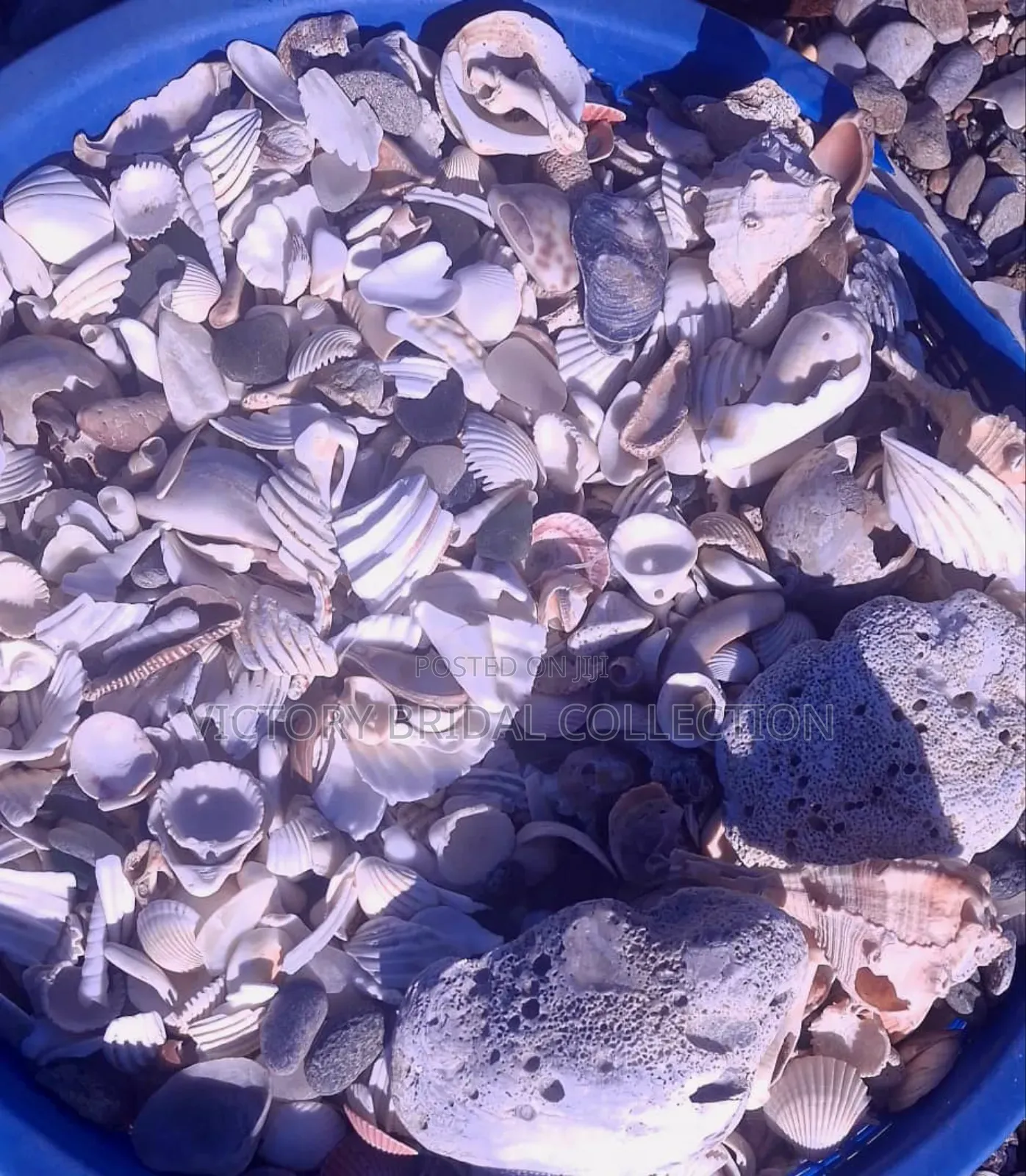Beach Pebble Stones Shells