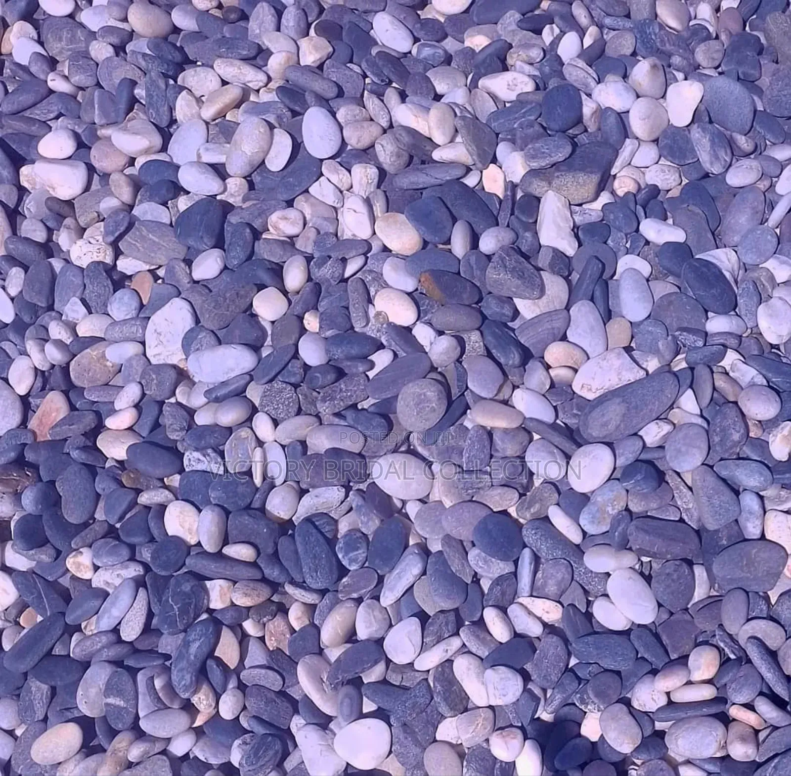 Beach Pebble Stones Shells