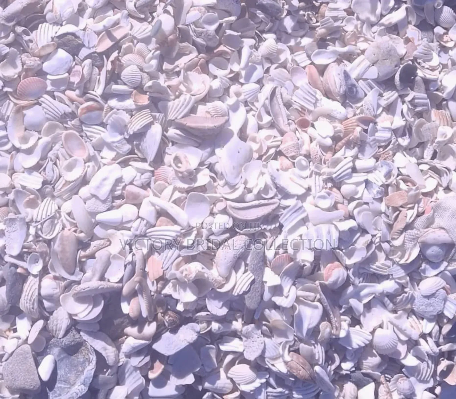 Beach Pebble Stones Shells