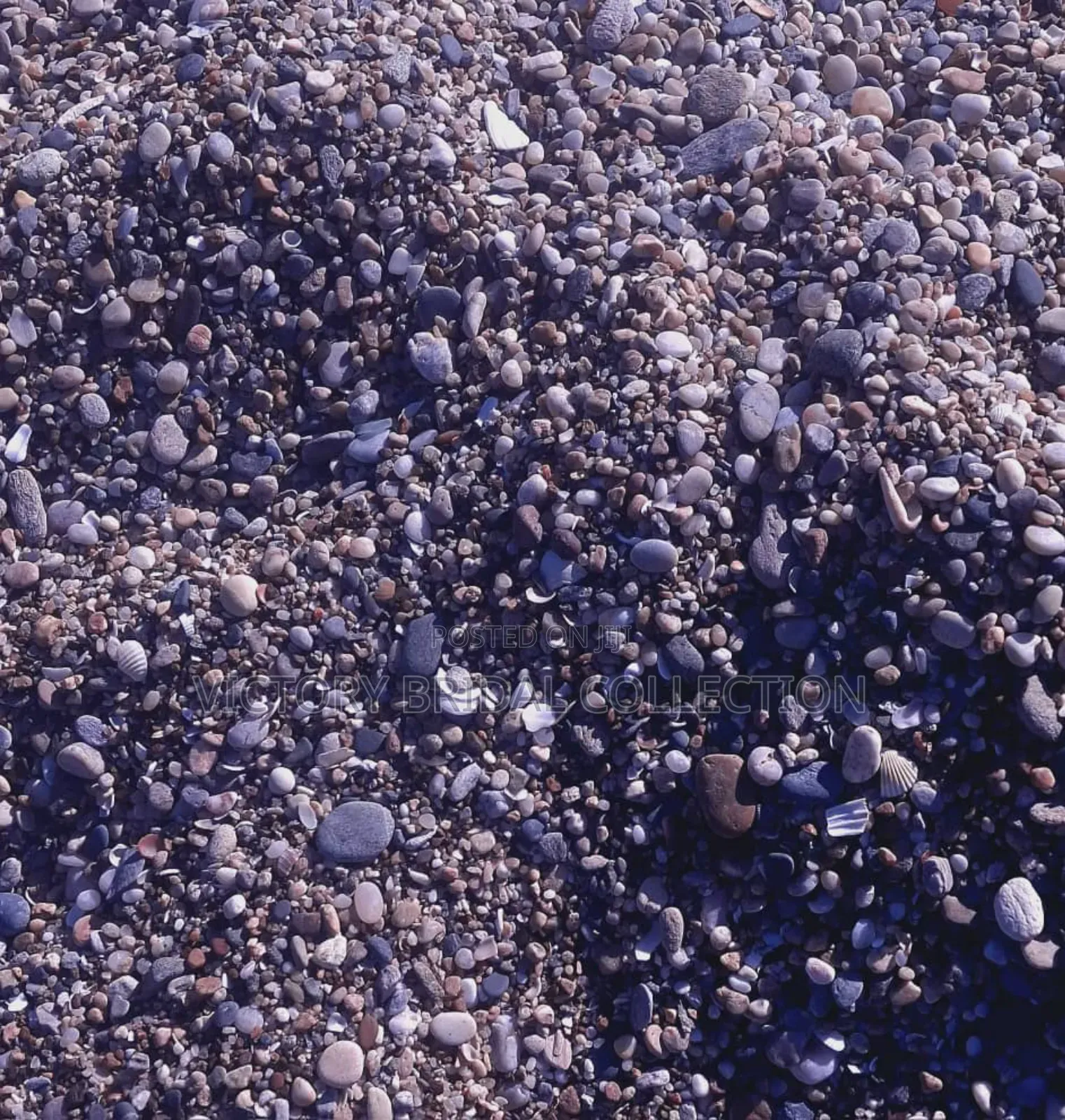 Beach Pebble Stones Shells