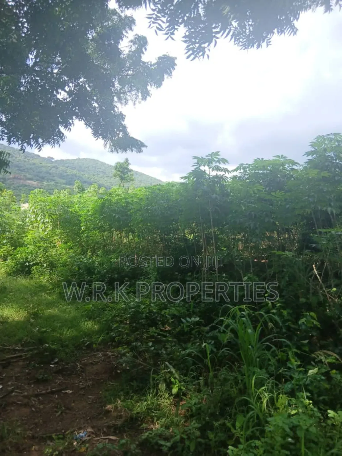 Land for Sale