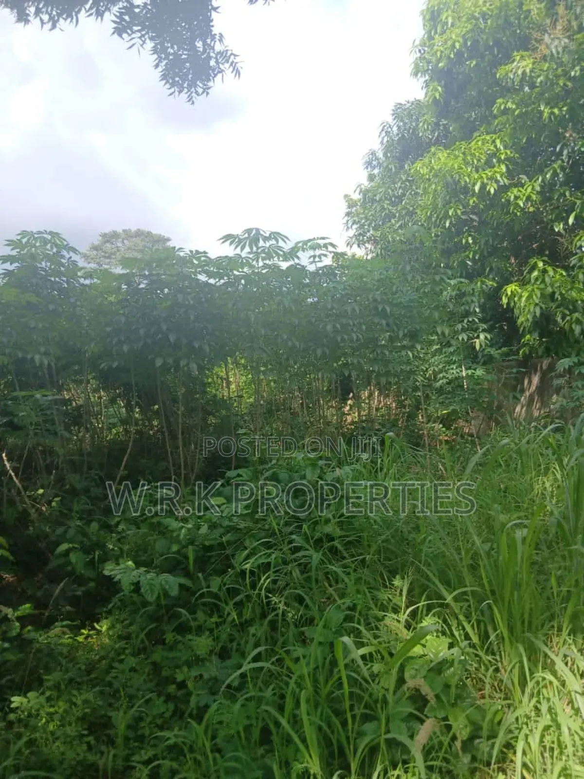 Land for Sale