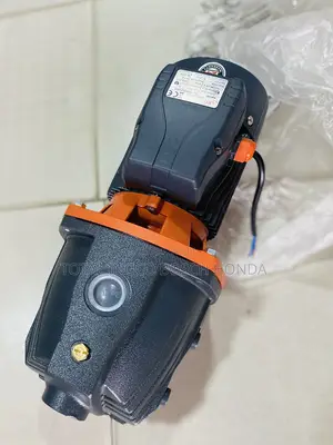 Water Pump Leo Peripheral Pump 1.5hp (1.1kw)
