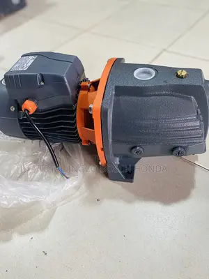 Water Pump Leo Peripheral Pump 1.5hp (1.1kw)