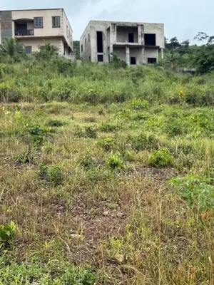 Seth Mensah Properties