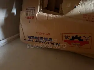 Rav 4 2019-2020 Fenders Pair
