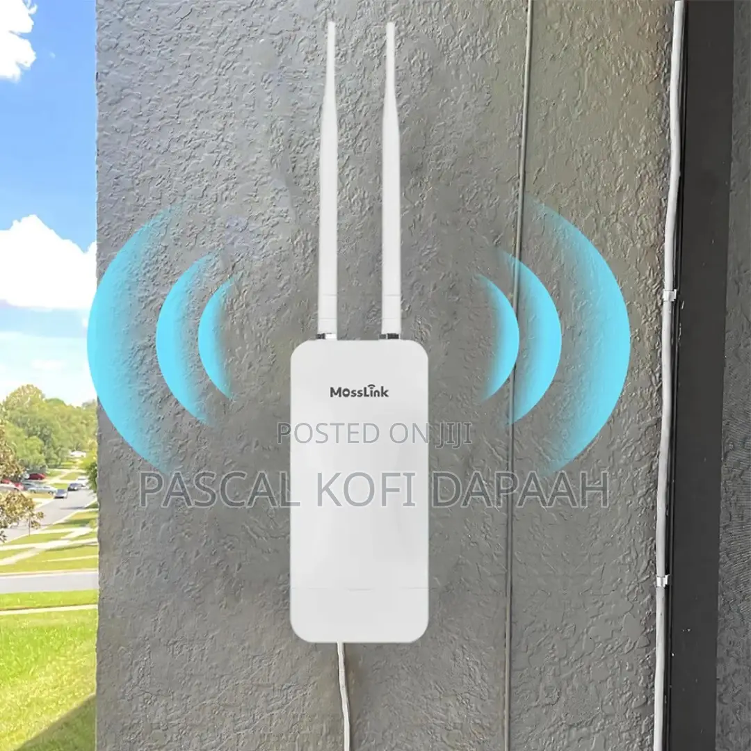 Outdoor Access Point