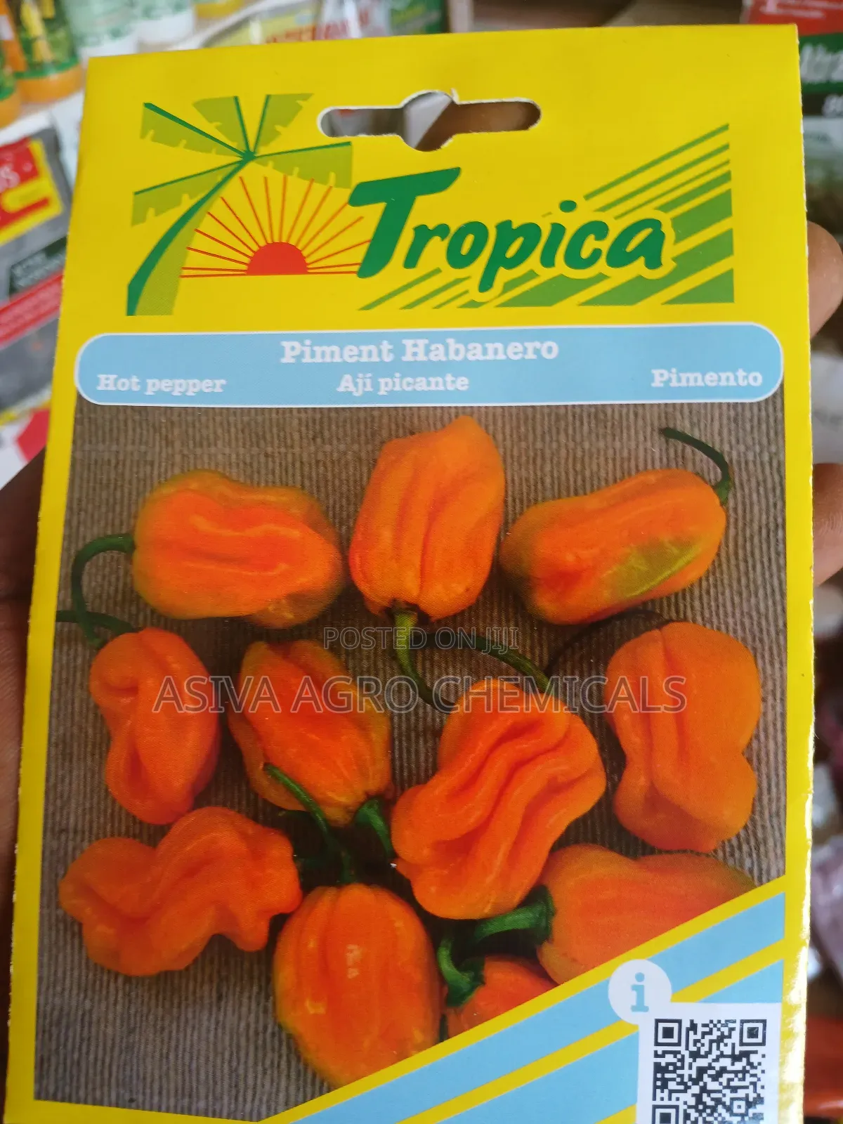 Habanero Pepper (Yellow Pepper) Seeds