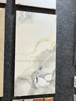 Polished Wall Tiles (30/66) Made in India 