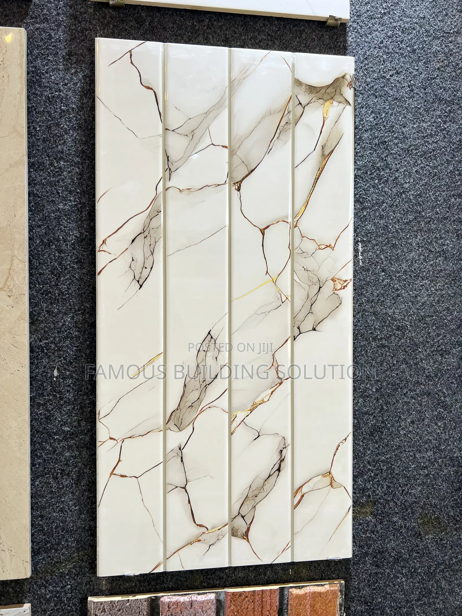 Polished Wall Tiles (30/66) Made in India 