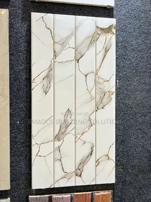 Polished Wall Tiles (30/66) Made in India 