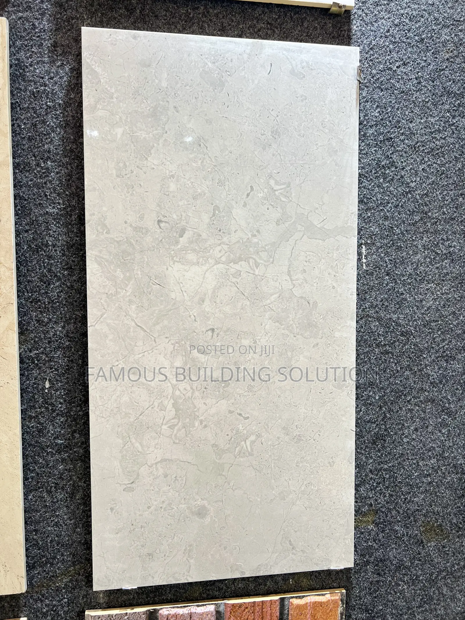 Polished Wall Tiles (30/66) Made in India 