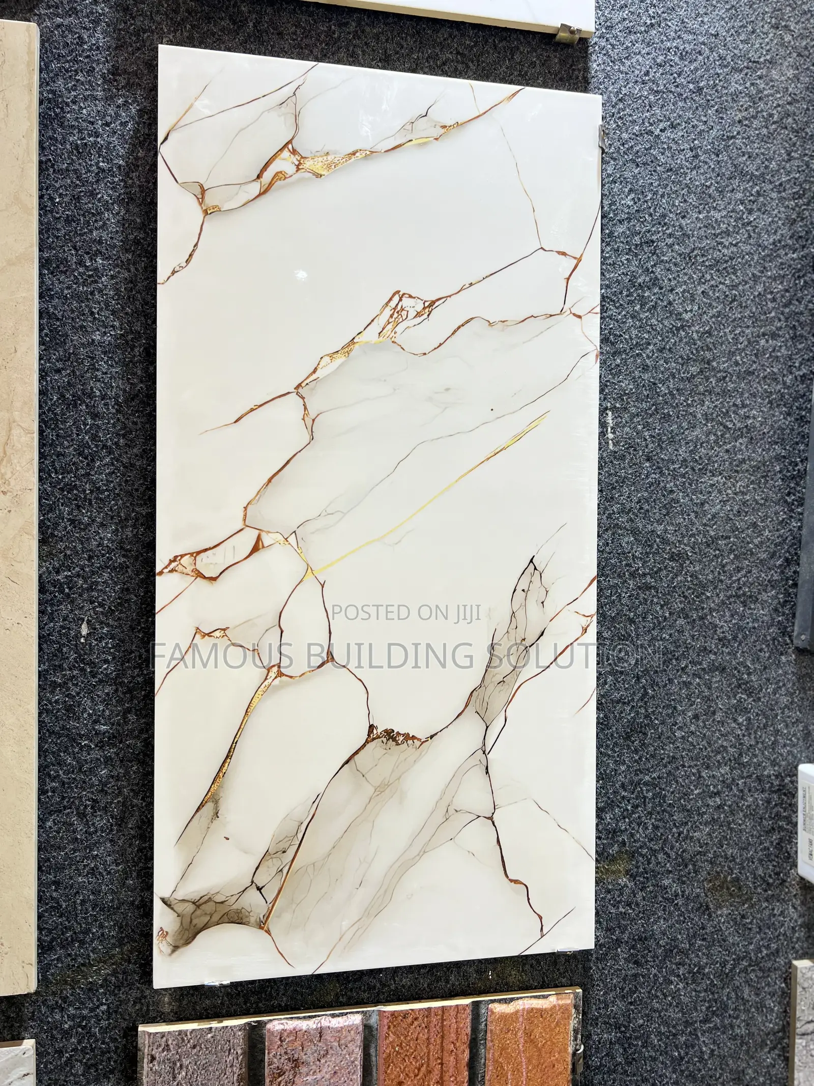 Polished Wall Tiles (30/66) Made in India 