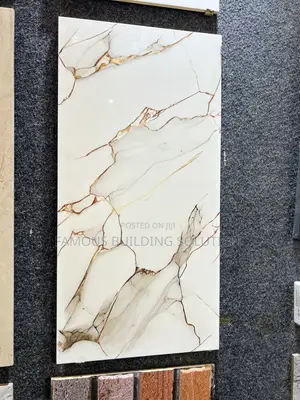 Polished Wall Tiles (30/66) Made in India 