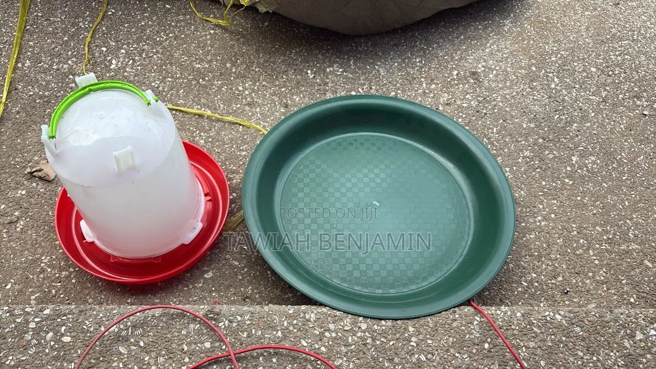 Chicken Feeding Tray