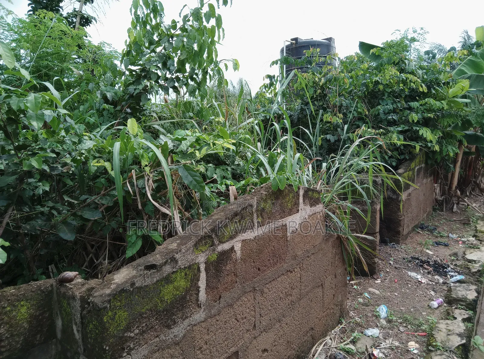 One Acre Plot of Land for Sale at Tanoso Pokukrom