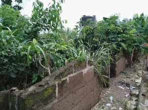 One Acre Plot of Land for Sale at Tanoso Pokukrom