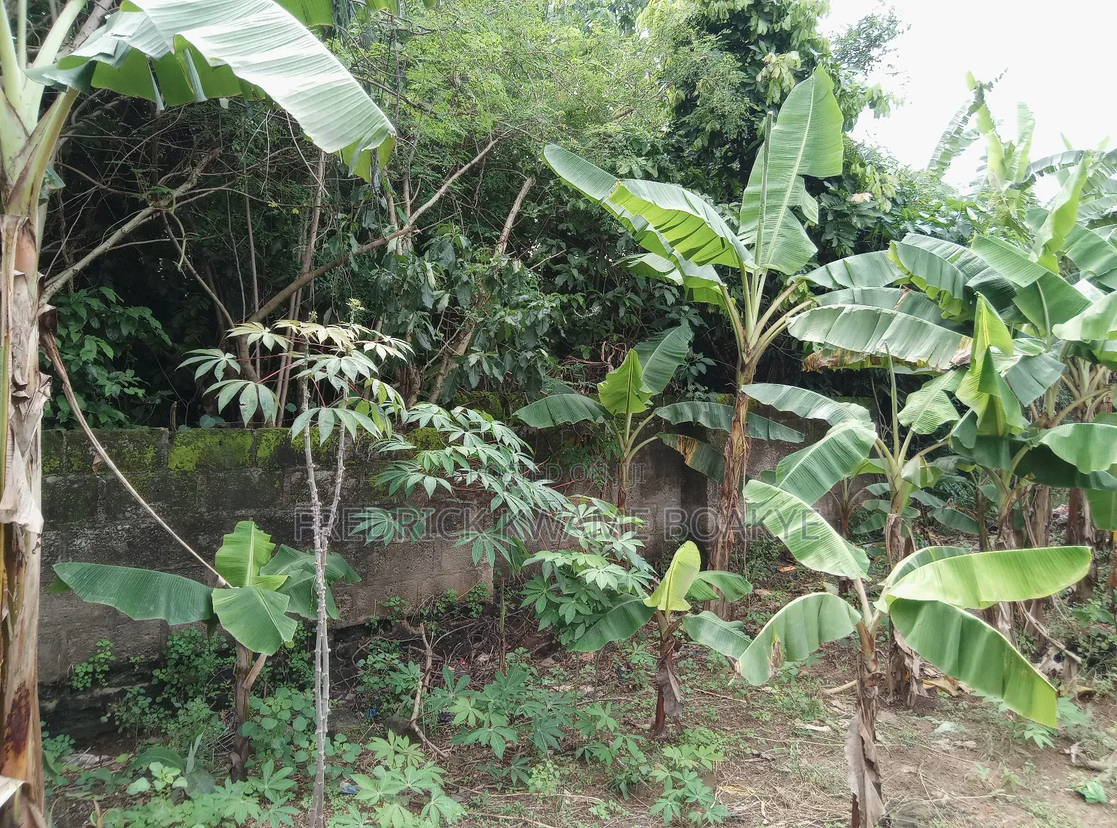 One Acre Plot of Land for Sale at Tanoso Pokukrom