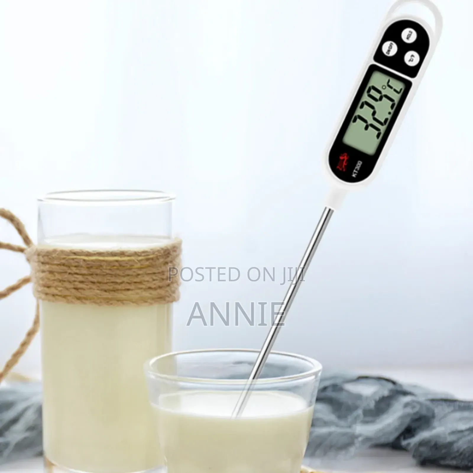 Food Thermometer