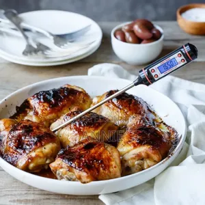 Food Thermometer