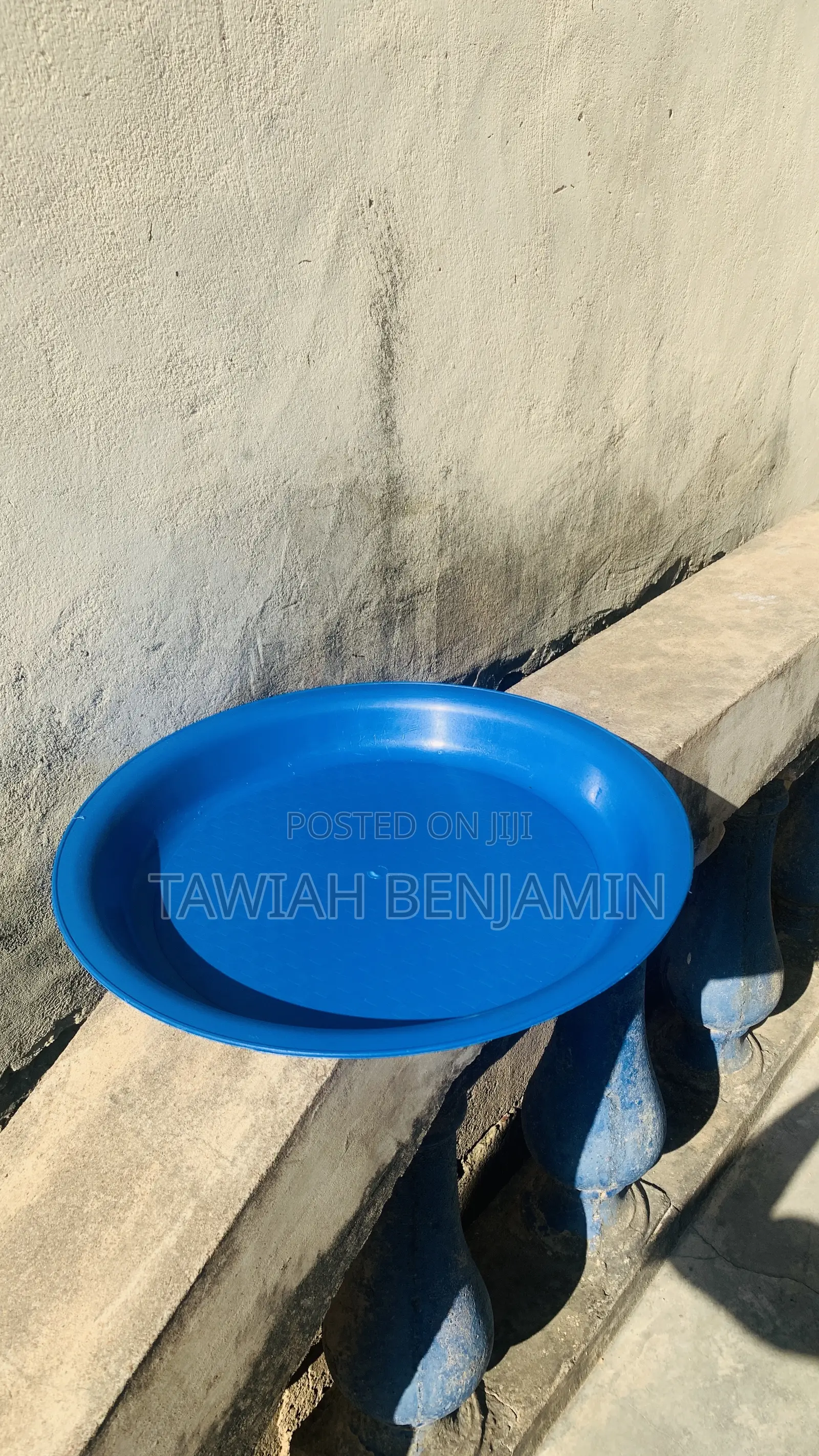 Chicken Feeding Tray