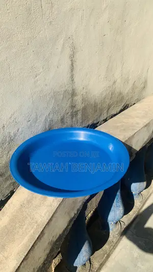 Chicken Feeding Tray
